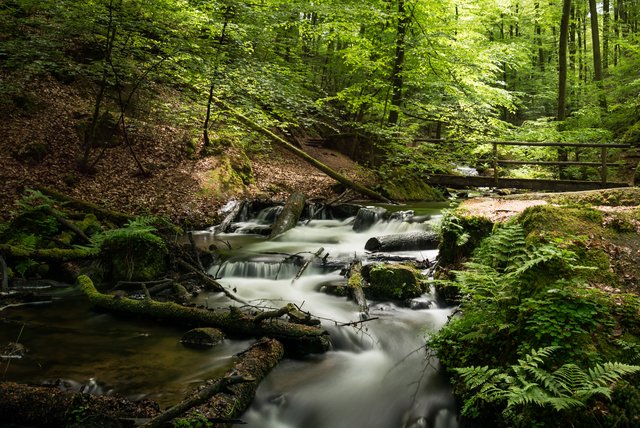 Karlstalschlucht bei Trippstadt