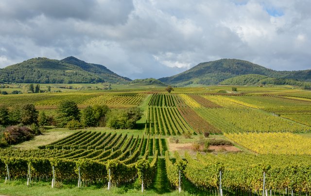 Ausblick von der Kleinen Kalmit 