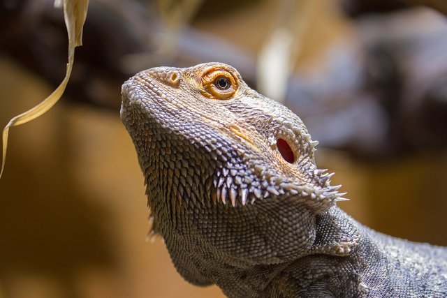 Im Zoo Landau