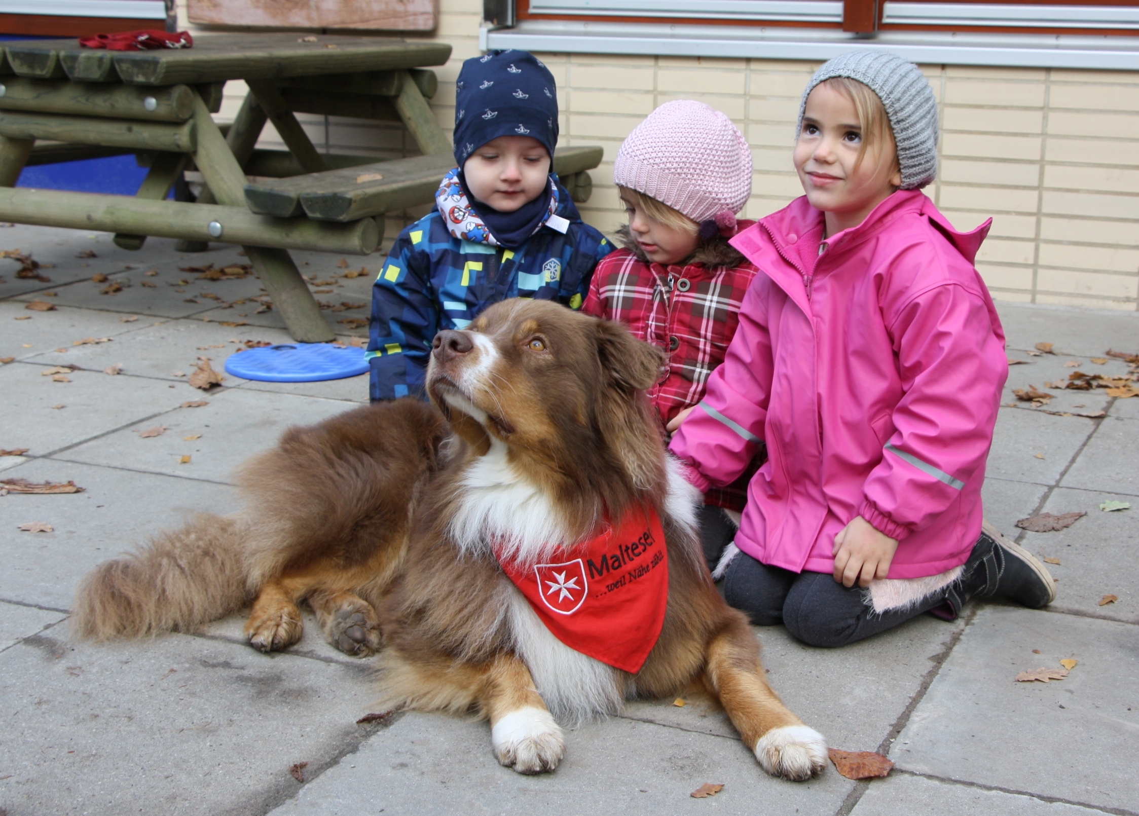 Eines der Spendenprojekte bei der dm-Aktion ist der Besuchsdienst mit Hund. In Speyer wird unter anderem die integrative Kita Pusteblume besucht.