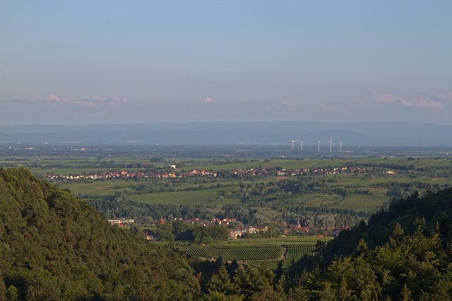 Blick vom Kiesbuckel in die Rheinebene