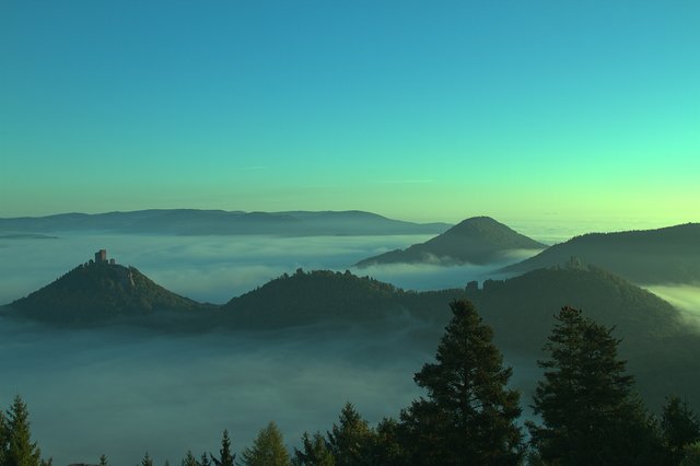 Trifelsblick