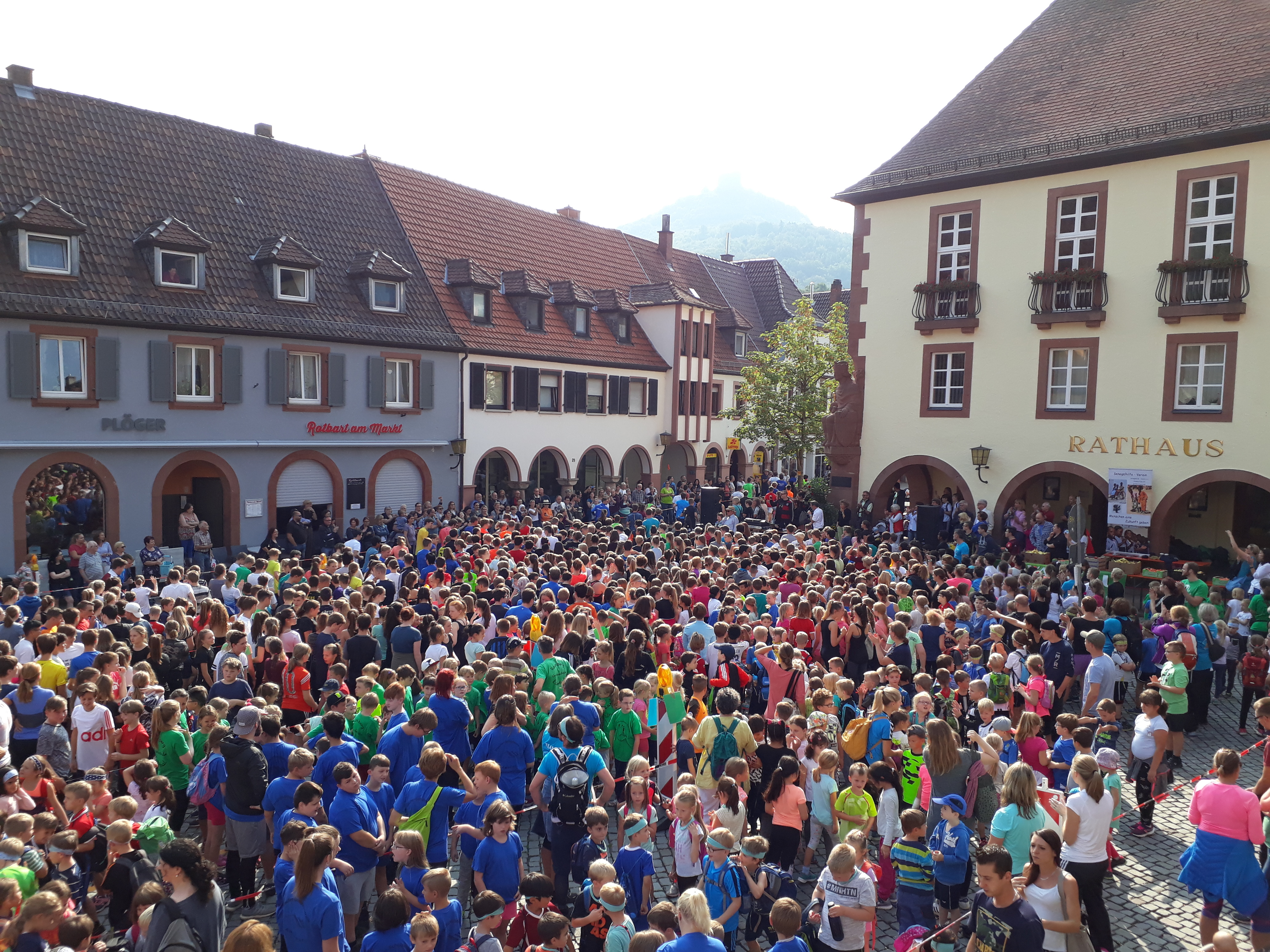 Vor dem großen Rennen.