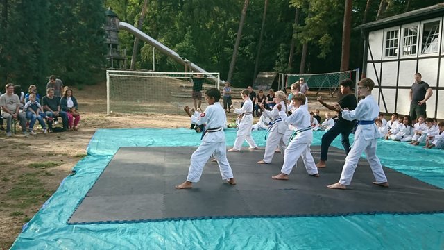 Demonstration der Karateka  | Foto: ps