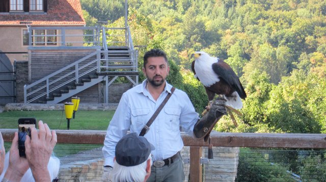 Flugshow auf Burg Guttenberg | Foto: Kristin Hätterich