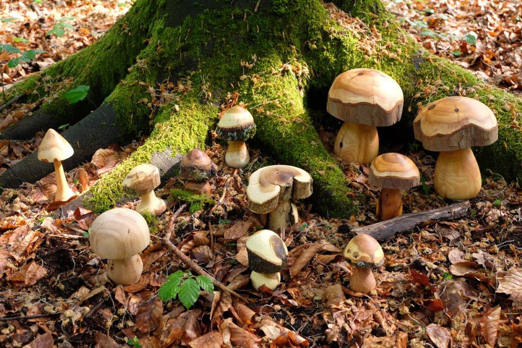 Pilze2018_SMNK_Holzpilze