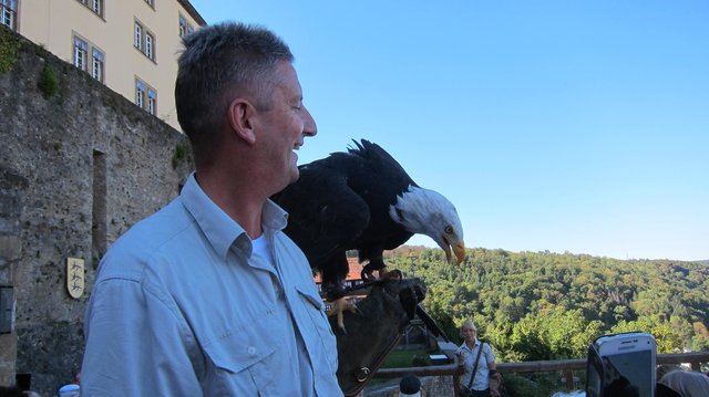 Weißkopfseeadler Burg Guttenberg | Foto: Kristin Hätterich