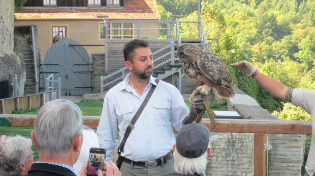 Flugshow auf Burg Guttenberg | Foto: Kristin Hätterich