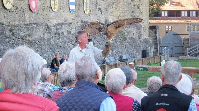 Flugshow auf der Burg Guttenberg | Foto: Kristin Hätterich