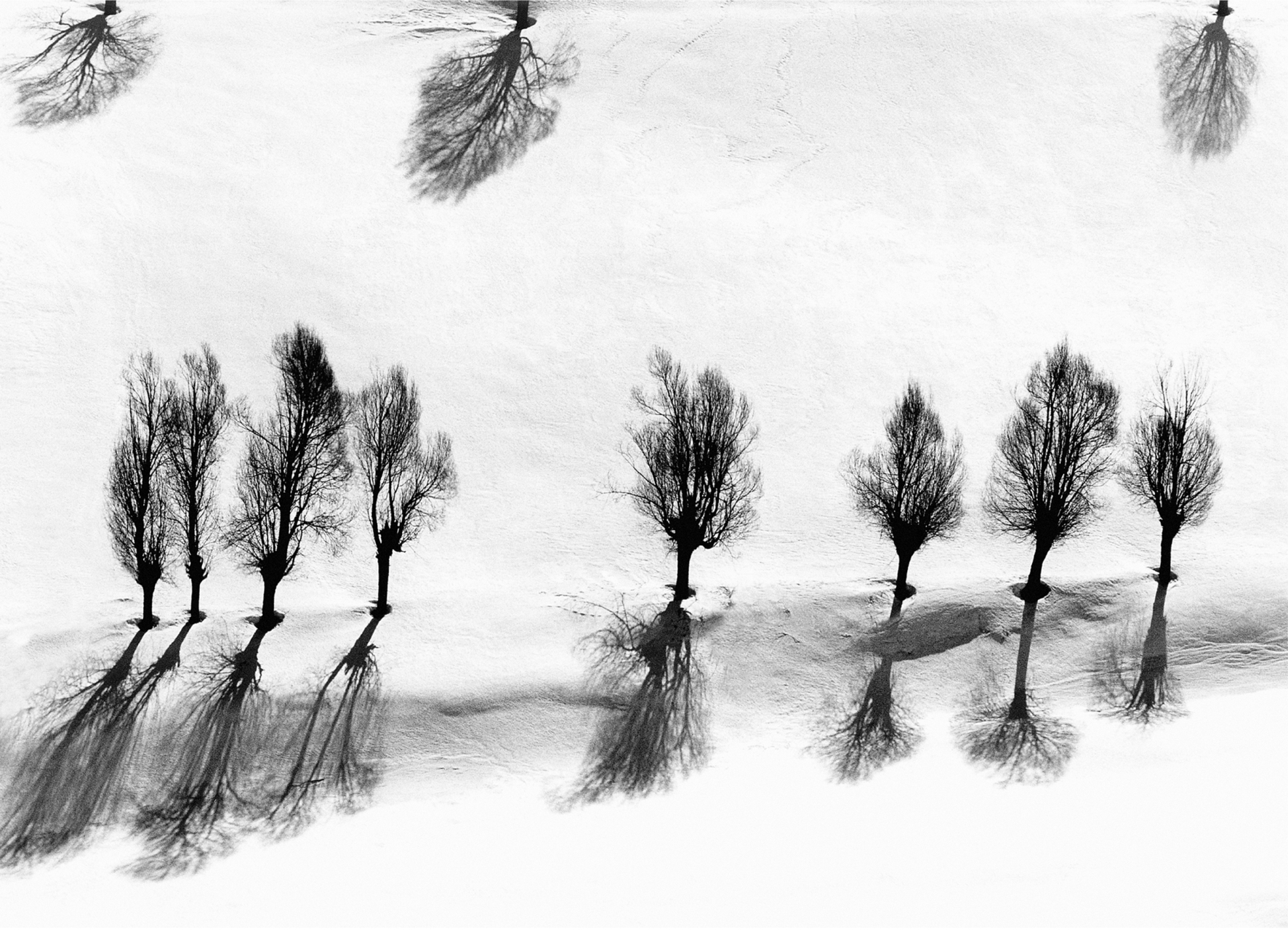 Poetisch geprägt: Abbas Kiarostamis Fotografie ohne Titel aus der Serie „Snow White“, die zwischen 1978 und 2004 entstand; Courtesy Stiftung Situation Kunst, Bochum © Nachlass Kiarostami Foto: Privatsammlung / ps