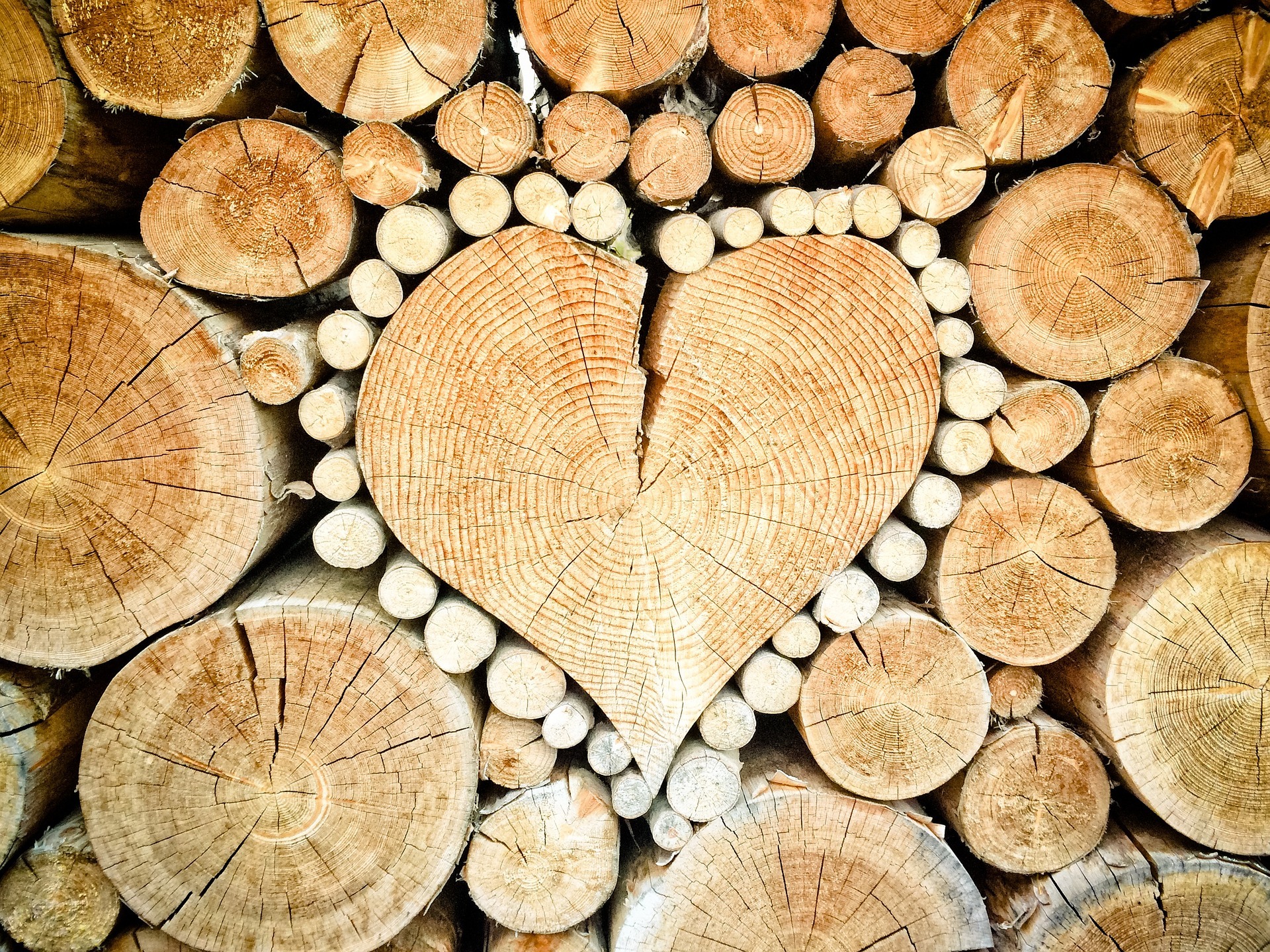 Wie mache ich im Wald Holz? Mit dieser Frage und allen Sicherheitsaspekten einer Motorsäge beschäftigt sich ein neuer Kurs.