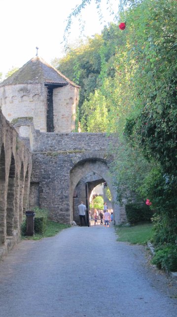 Burg Guttenberg | Foto: Kristin Hätterich
