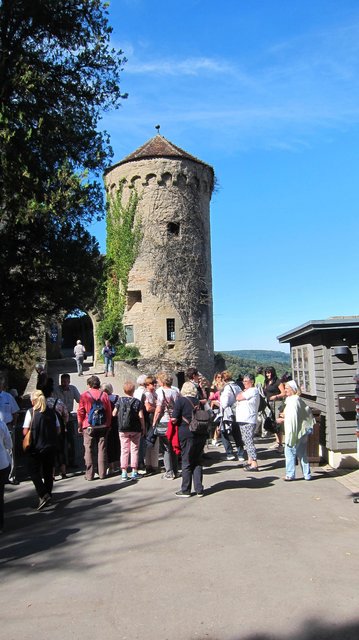 Burg Guttenberg | Foto: Kristin Hätterich