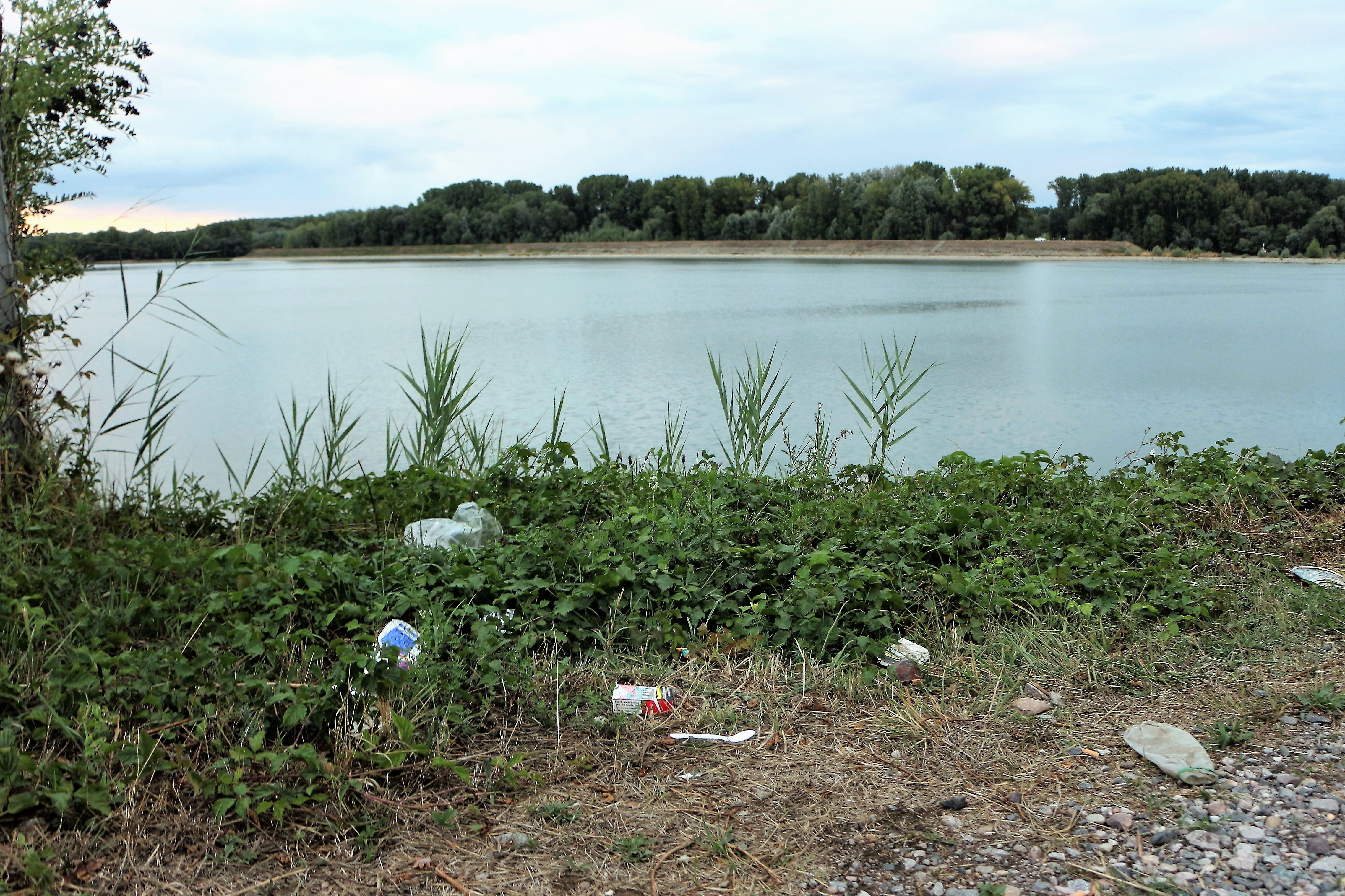 Müll am Rhein