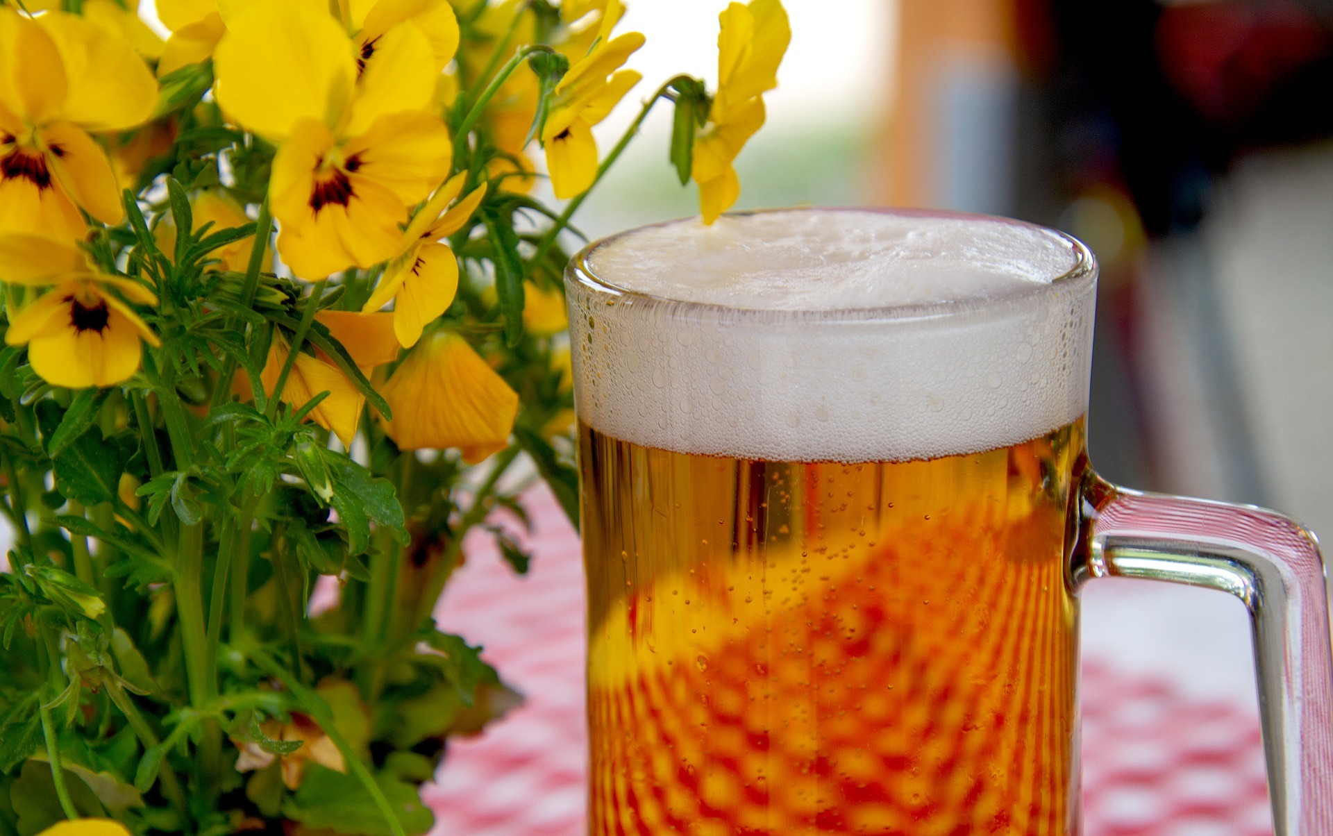 Ein zünftiges Bier gehört zum Oktoberfest dazu.