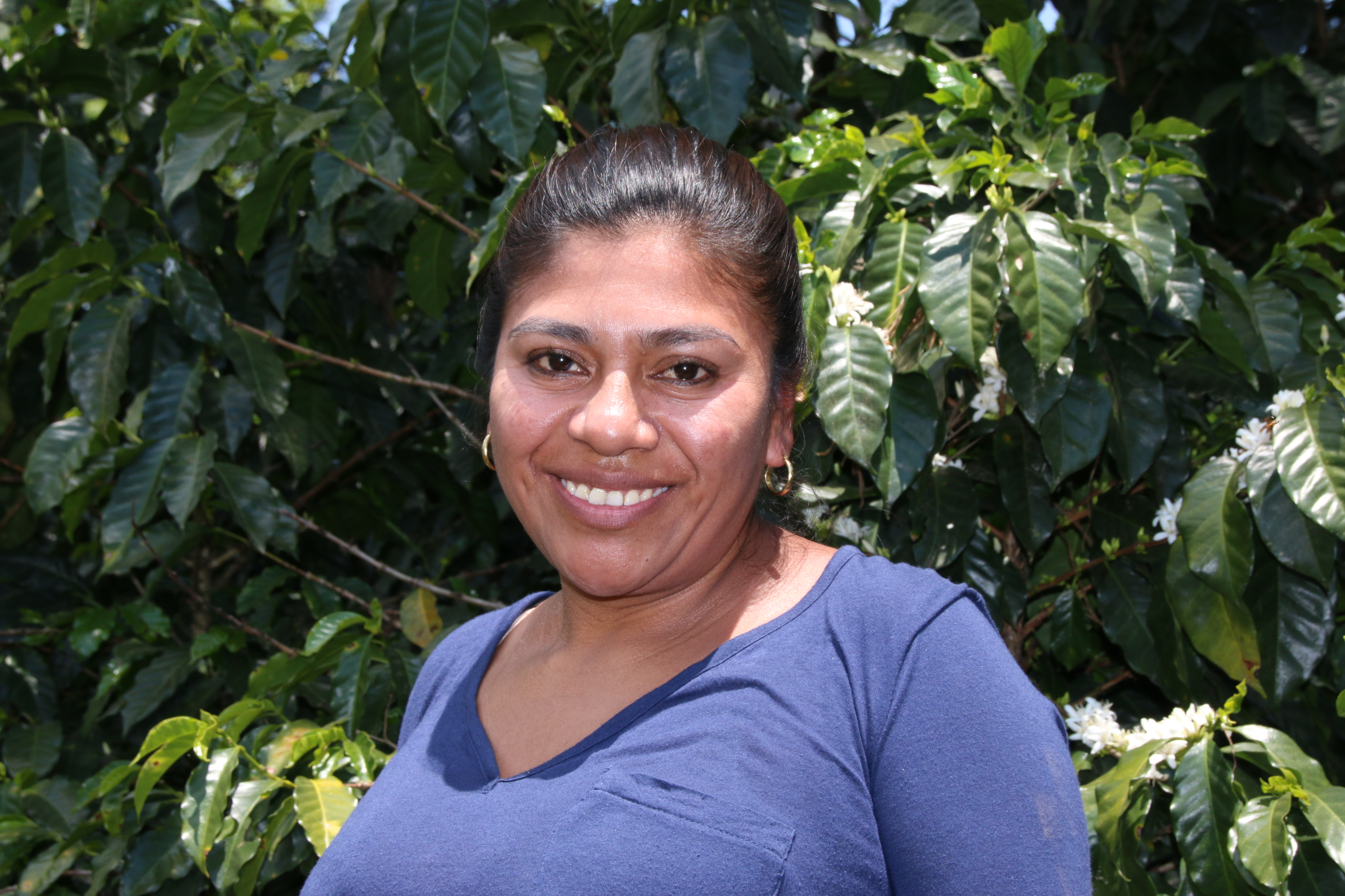 Gladyx Hernandez von APROLMA, Honduras: Nun, die Auswirkungen des Klimawandels heute sind: wenig Regen - und die Kaffeepflanzen blühen früher. Das bedeutet: Wir ernten weniger. Weil die Kirschen früher reif sind, ist die Kaffeequalität nicht so gut. Heutzutage können viele auf ihren Feldern in 1.000 bis 1.200 Metern Höhe keinen Kaffee mehr produzieren. Das führt zu geringen Familieneinkommen und zu Migration der jungen Leute in andere Länder."