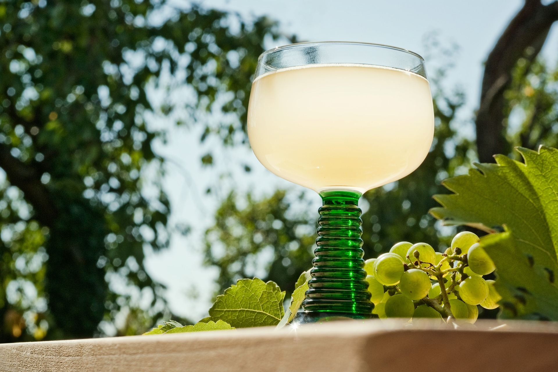 Im Dorfladen Freckenfeld gibt es neuen Wein