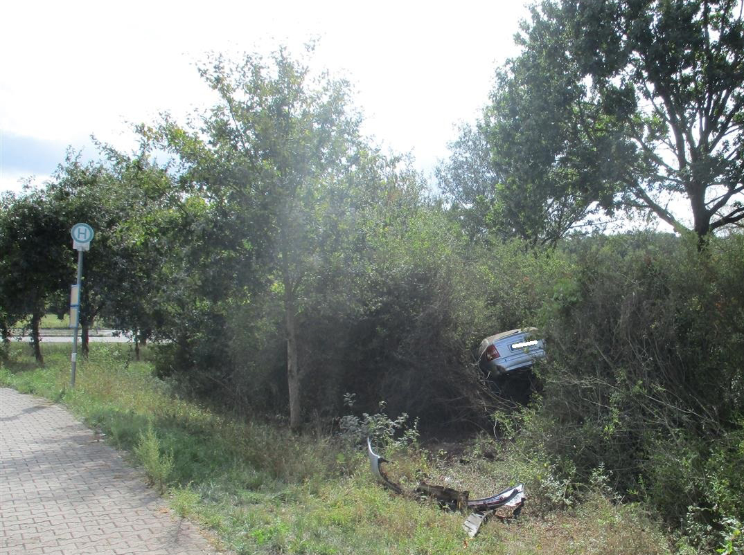 Unfallwagen im Dickicht
