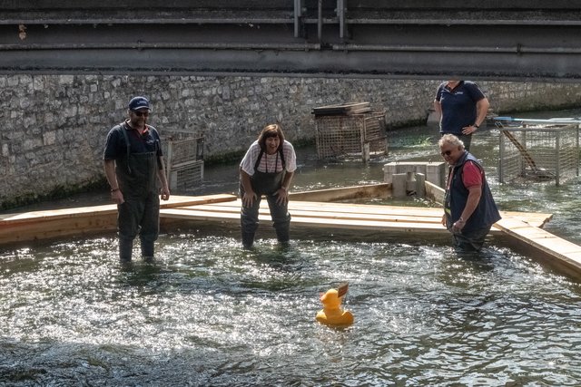 Bruchsaler Entenrennen am 15. September | Foto: Paul Needham