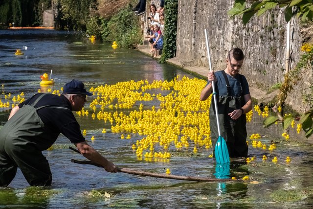 Bruchsaler Entenrennen am 15. September | Foto: Paul Needham