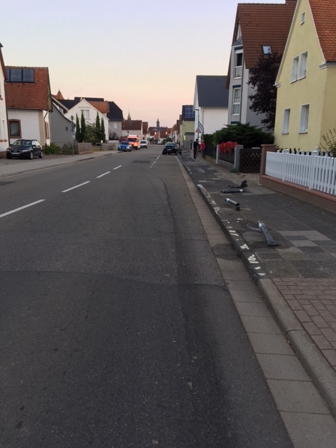 Diese Pfosten nahm die Frau alle mit.