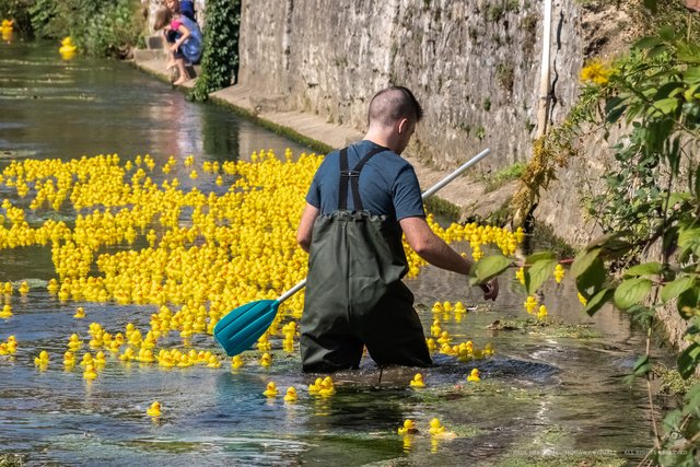 Bruchsaler Entenrennen am 15. September | Foto: Paul Needham