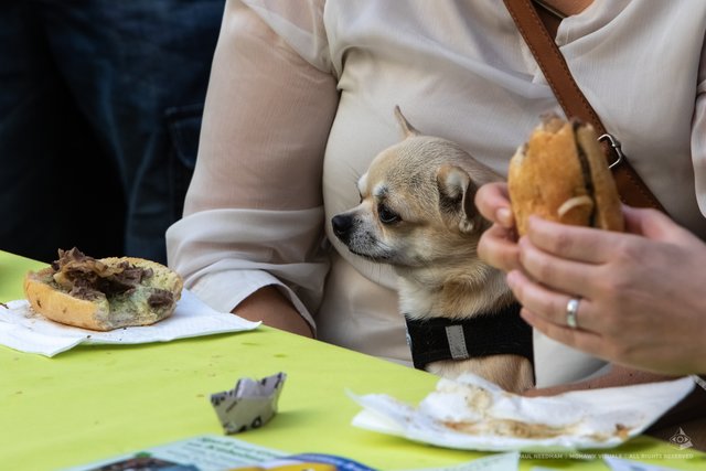 Bruchsaler Herbstfest mit verkaufsoffenem Sonntag | Foto: Paul Needham