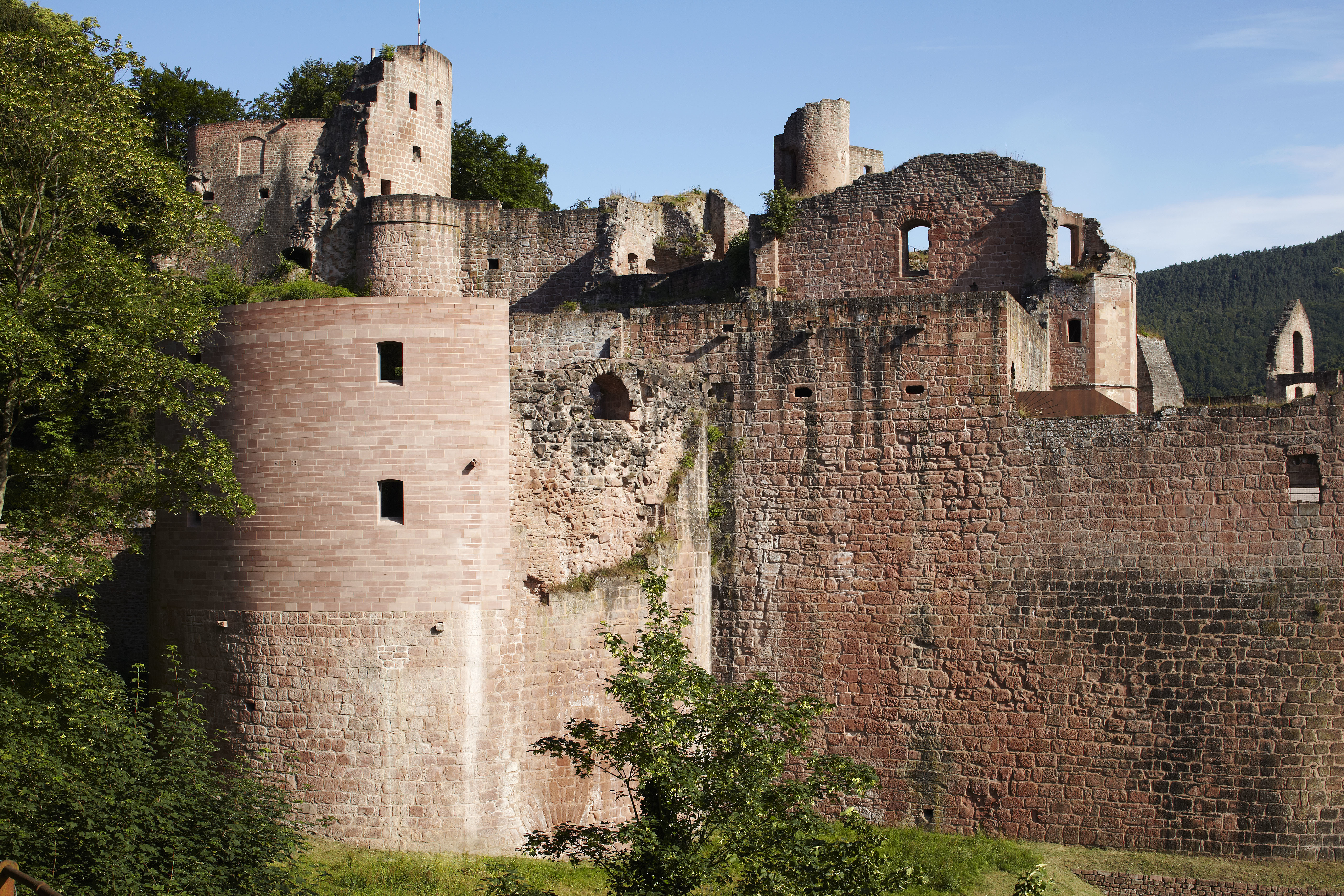 Die Hardenburg bei Bad Dürkheim.