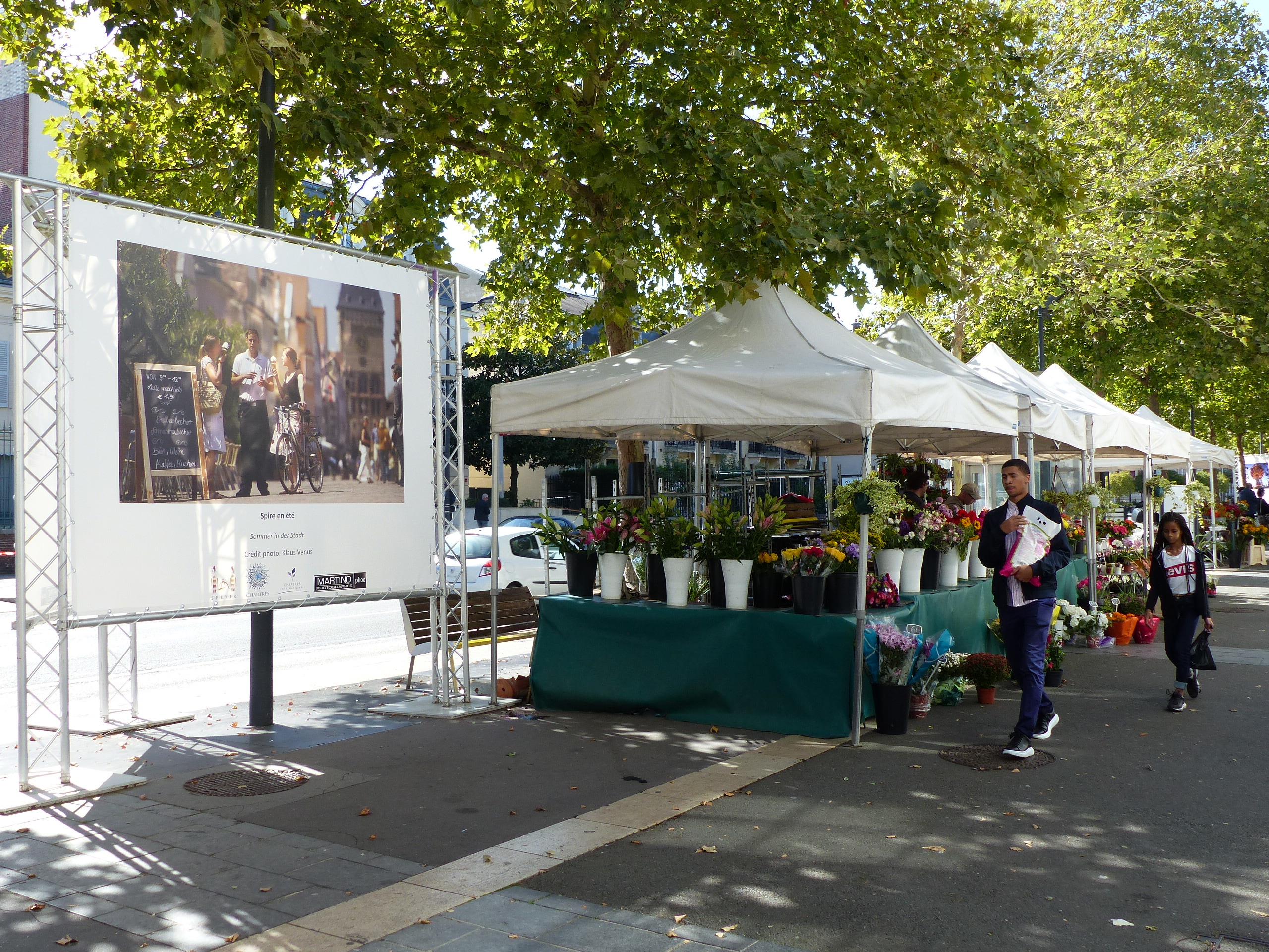 Die Ausstellung im öffentlichen Raum umfasst 24 großformatige Fotos der beiden Speyerer Fotografen Klaus Landry und Klaus Venus. Sie zeigen die Domstadt von ihrer schönsten Seite mit den markanten Sehenswürdigkeiten, der pittoresken Altstadt und Schnappschüssen von den großen Speyerer Festen.