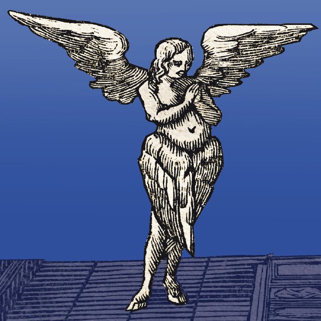 „Cherub“. | Foto: ps