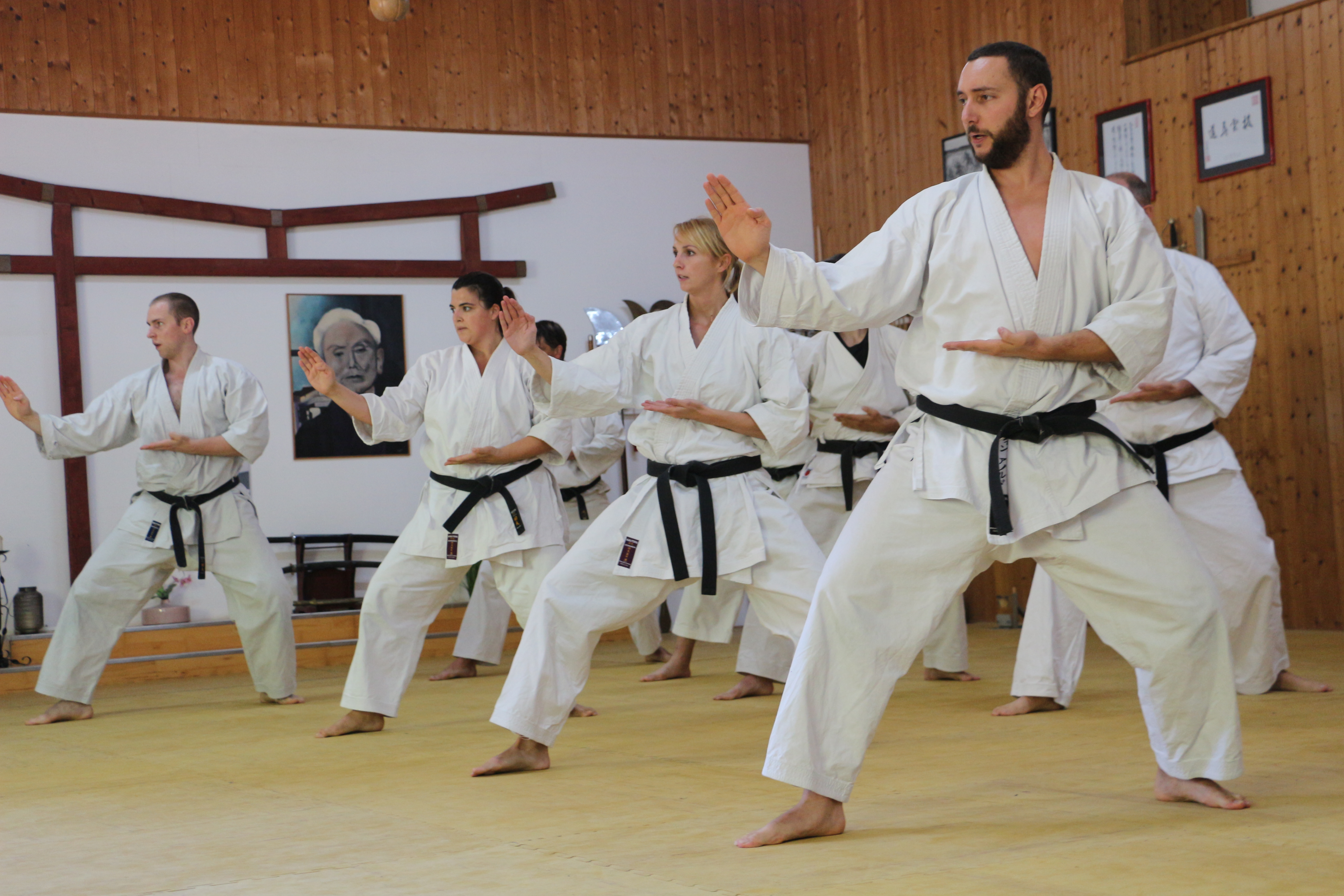 Die Speyrer Danträger während der Trainingseinheit.