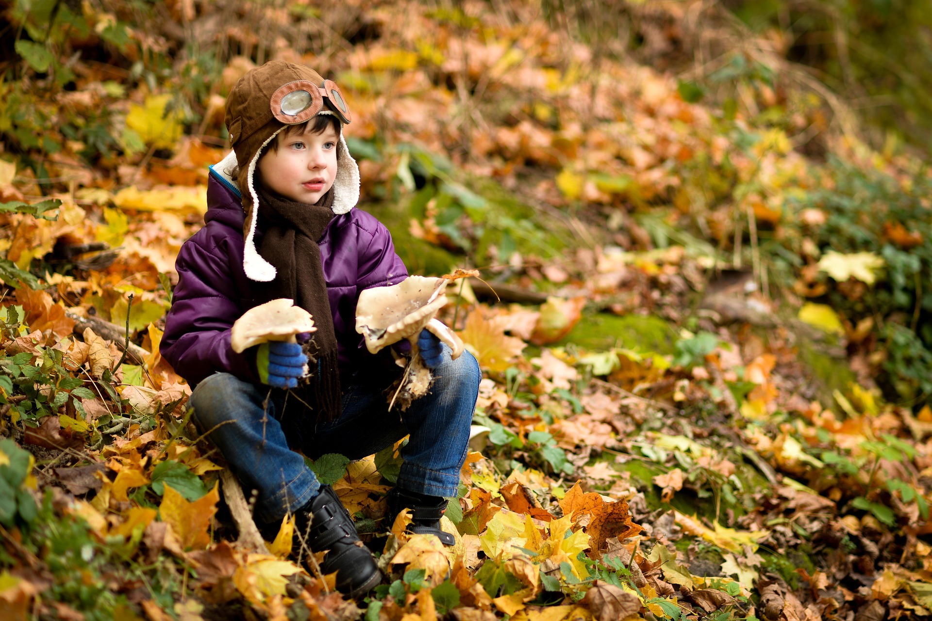 Kinder erleben den Wald mit der Rucksackschule.