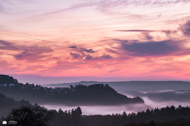 Nebelstimmung im Sonnenaufgang - Stauf | Foto: Michaela Reuß - MiReu Photography