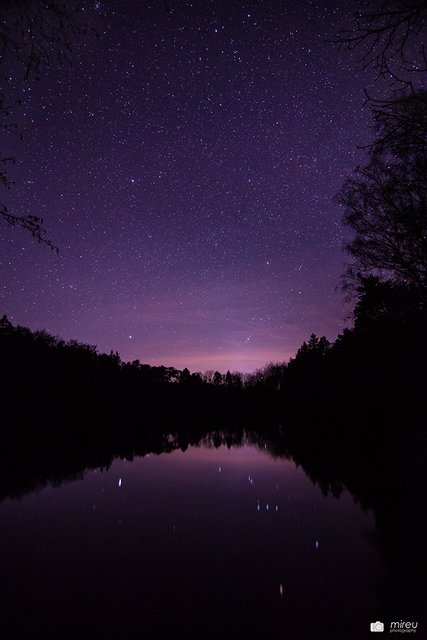 Retzbergweiher bei Nacht | Foto: Michaela Reuß - MiReu Photography