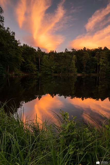 Retzbergweiher im Sonnenuntergang | Foto: Michaela Reuß - MiReu Photography