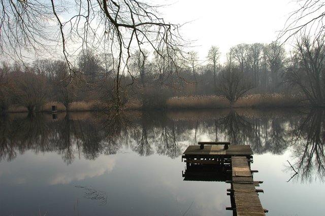 Altrhein bei Jockgrim