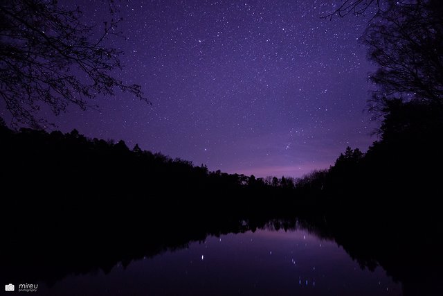 Orion und Sirius auf der Jagd über dem Retzbergweiher | Foto: Michaela Reuß - MiReu Photography