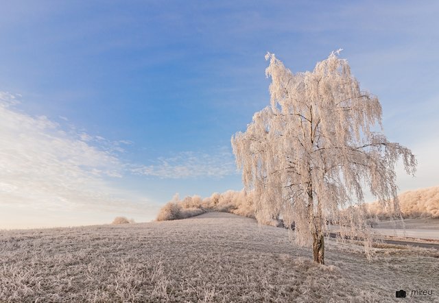Winter Wonderland - Stauf | Foto: Michaela Reuß - MiReu Photography