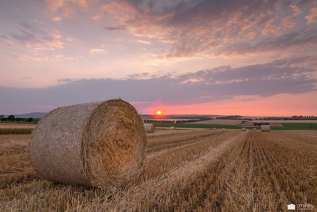 Strohrundballen im Sonnenuntergang | Foto: Michaela Reuß - MiReu Photography