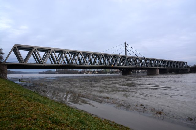 Rhein bei Maximiliansau, 6.1.2018, Pegelstand 793 cm