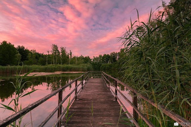 Die Erdekaut im Sonnenuntergang | Foto: Michaela Reuß - MiReu Photography