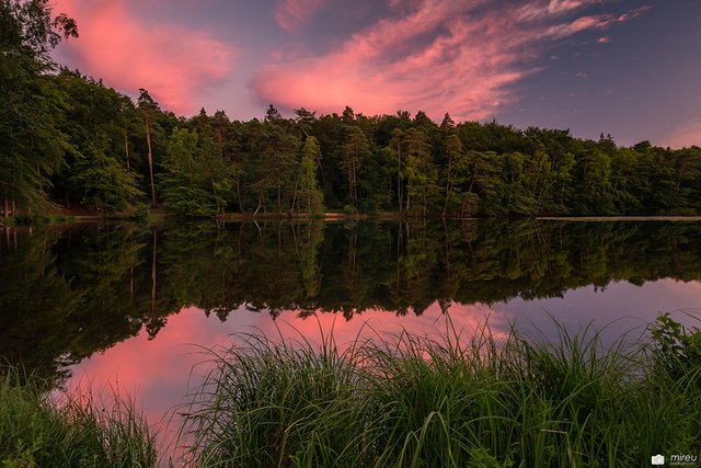 Retzbergweiher im Sonnenuntergang | Foto: Michaela Reuß - MiReu Photography
