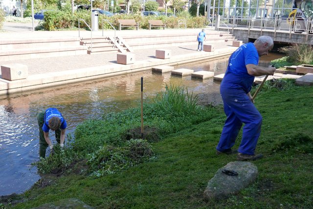 An der Queich - große Reinemacheaktion | Foto: Foto: ABE