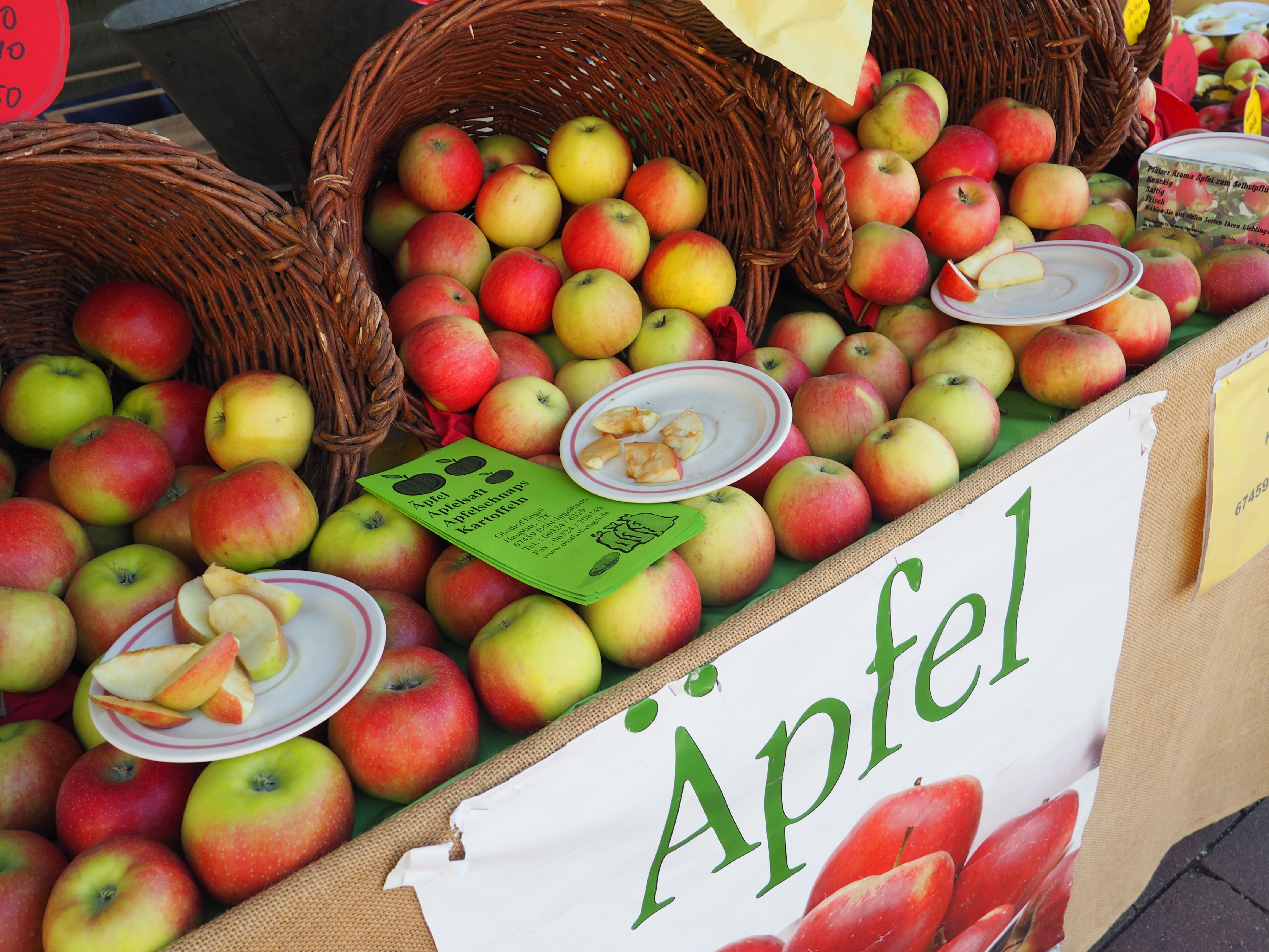 Viele lokale und regionale Aussteller kommen zum Obst- und Gemüsetag, so dass der Schillerplatz, die Kleine Kapellenstraße und der Marktplatz problemlos mit Ständen bestückt werden können.