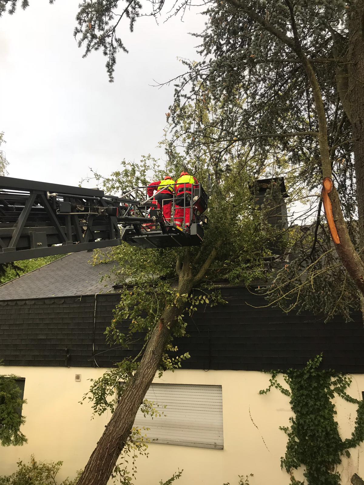 Gestern kam es zu zahlreichen Polizei- sowie Feuerwehreinsätzen.