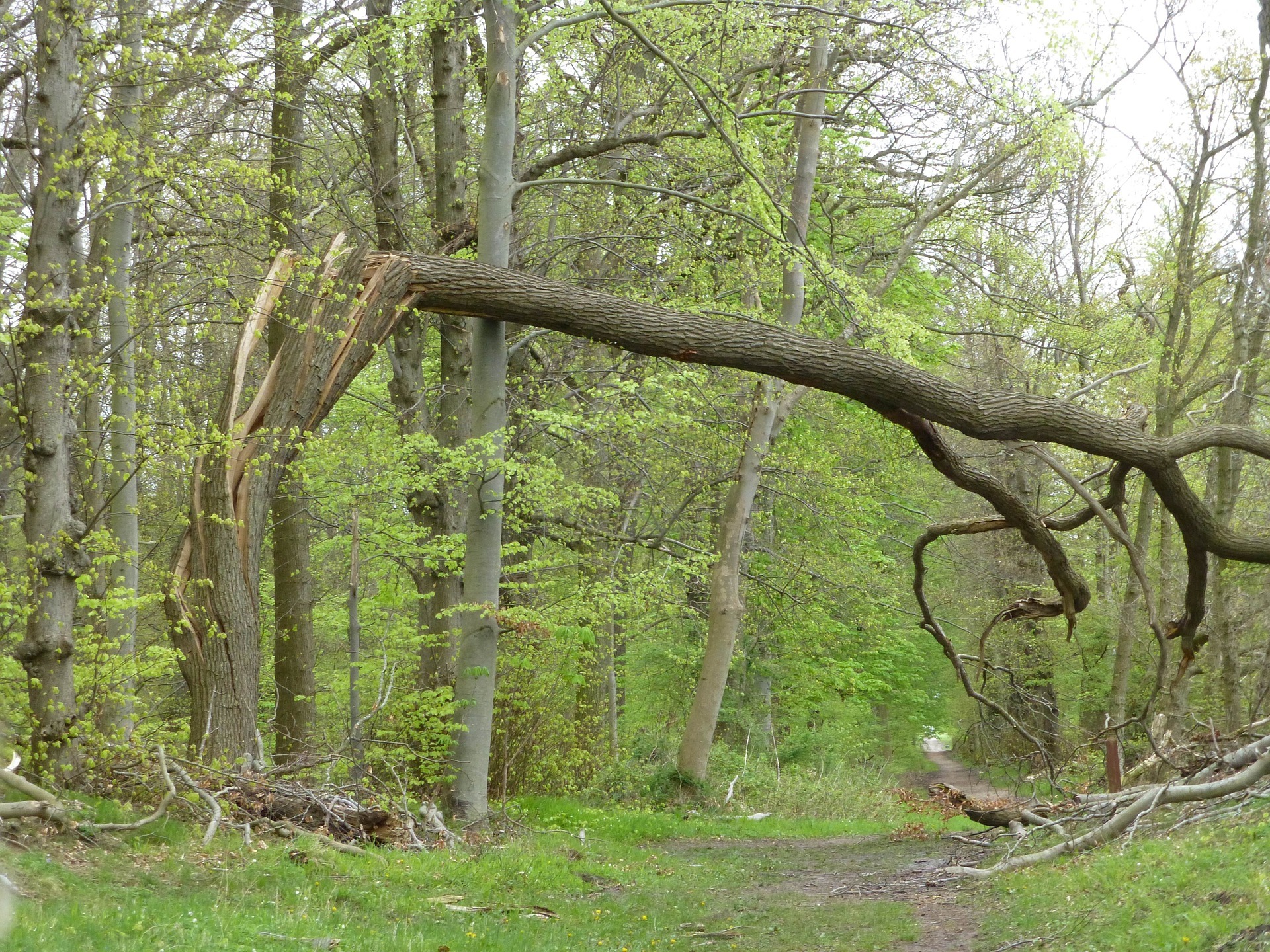 Sturmschäden