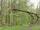 Sturmschäden | Foto: Symbolbild Pixabay