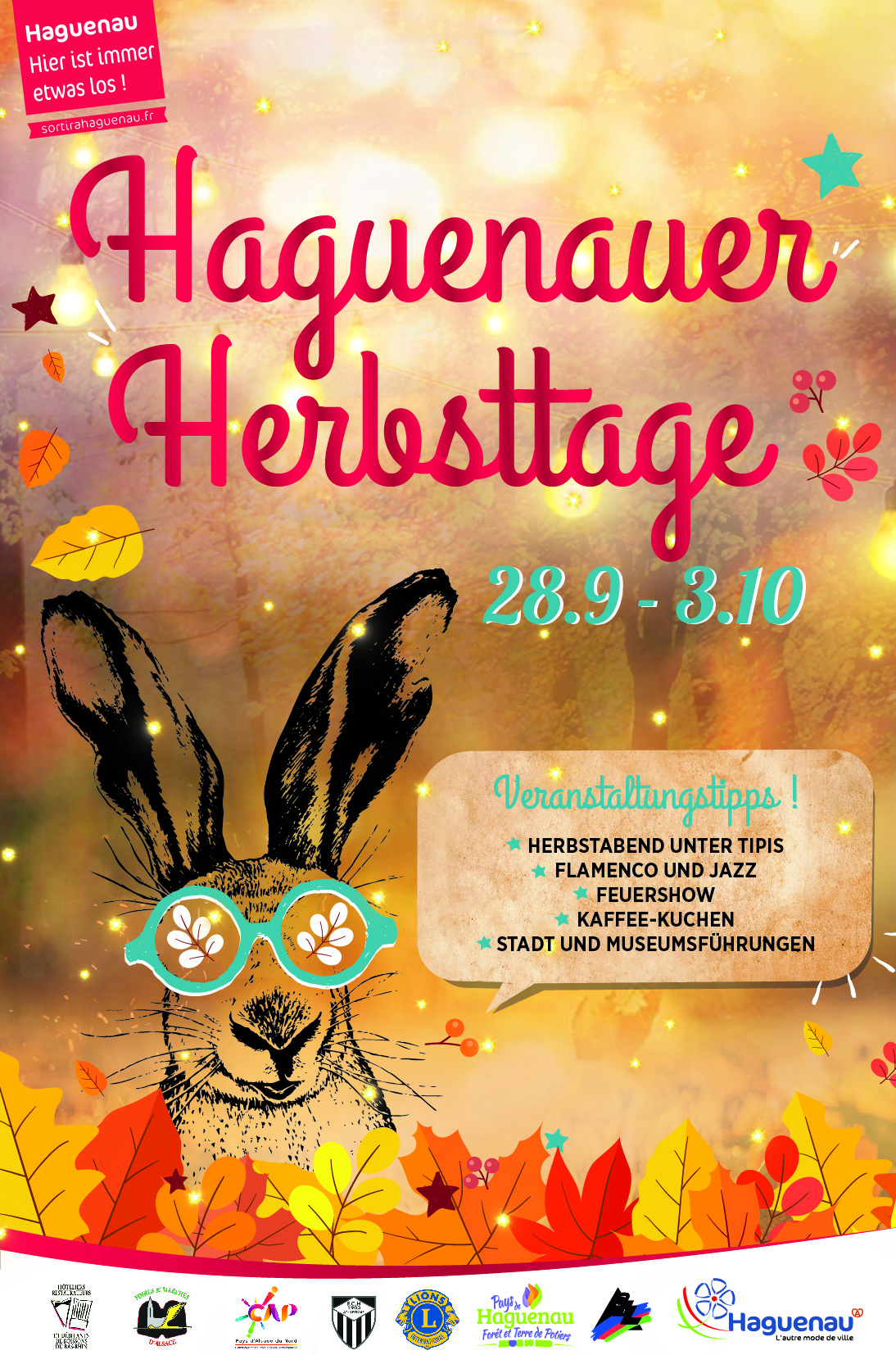 Flamenco, Jazz und Feuershow: Vom 28. September bis zum 3. Oktober finden in Landaus Partnerstadt Haguenau die Herbsttage statt.