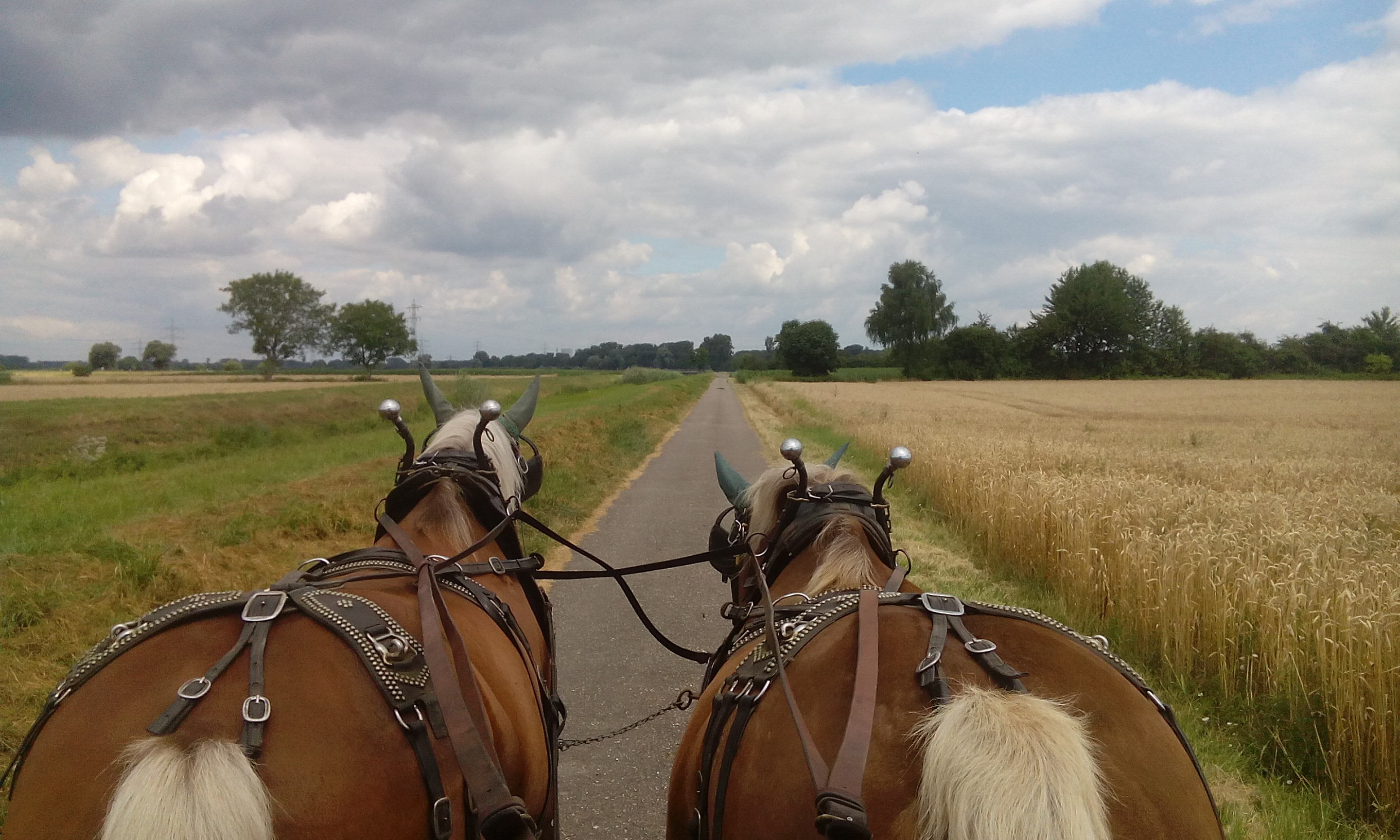Entschleunigung pur: Planwagenfahren