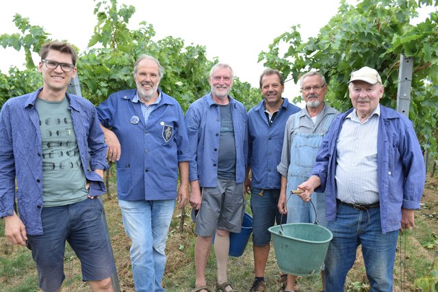 (v.l.n.r.): Martin Braun vom Weingut Braun, Edgar Römelt, Jochen Gleich, Werner Schmid, Rainer Zepke und Walter Weinert (Leisböhler WeinKultur Haßloch e.V.)